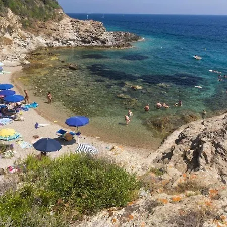 Delle Palme - Goelba *