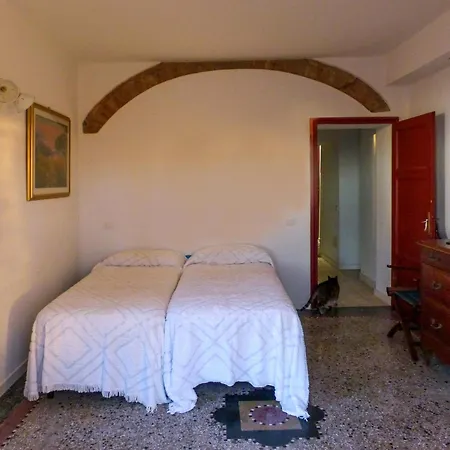 Delle Palme - Goelba