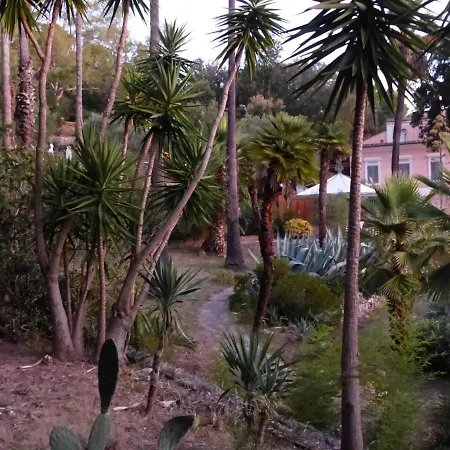 Delle Palme - Goelba Capo D'arco