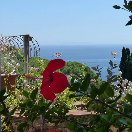 Delle Palme - Goelba *