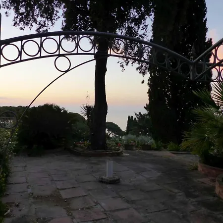 Delle Palme - Goelba