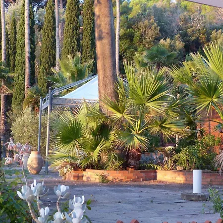 Delle Palme - Goelba