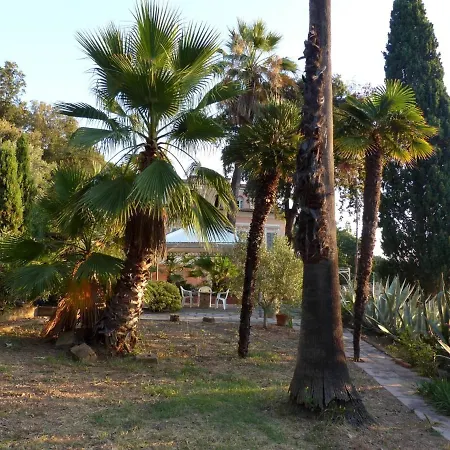 Βίλα Delle Palme - Goelba